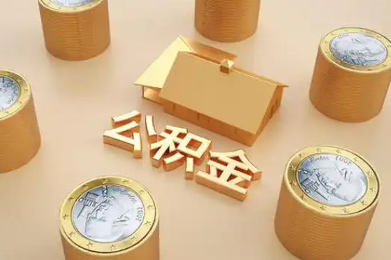 自贡退休公积金代办提取额度是多少？